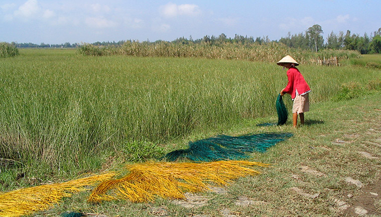 Wvii-vietnam-walking-12